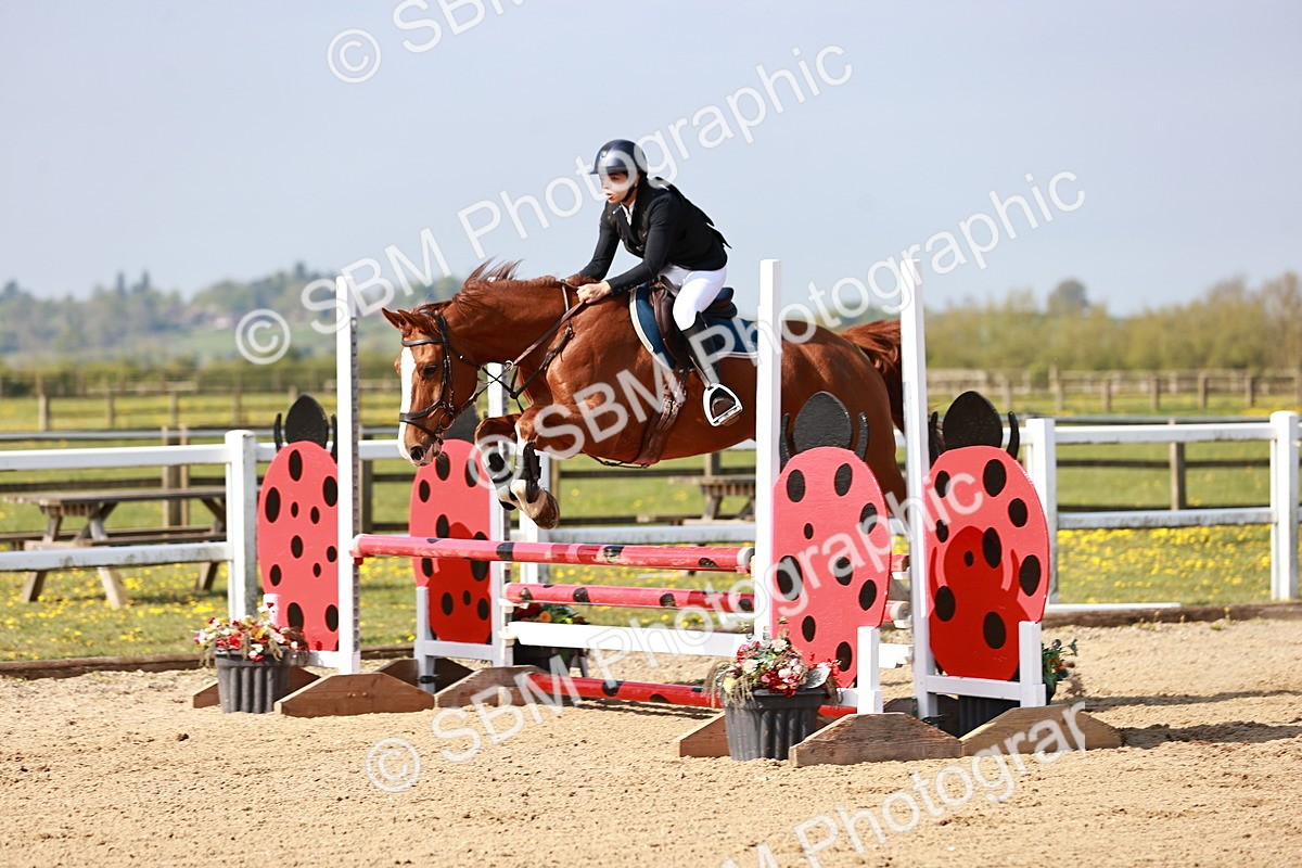  - Class 21 - Senior British Novice - 90cm