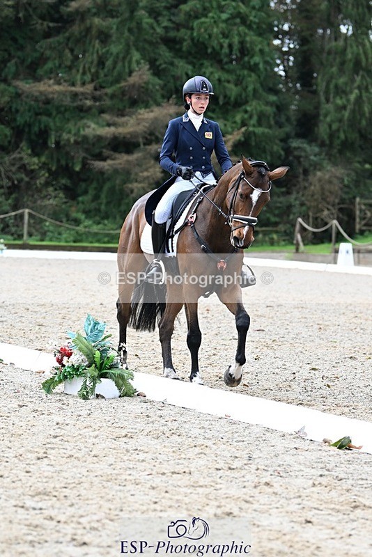 231019-122424-02753 - 044-COOLEY.ON.THE.CARDS-Charlotte.Cooke-DR