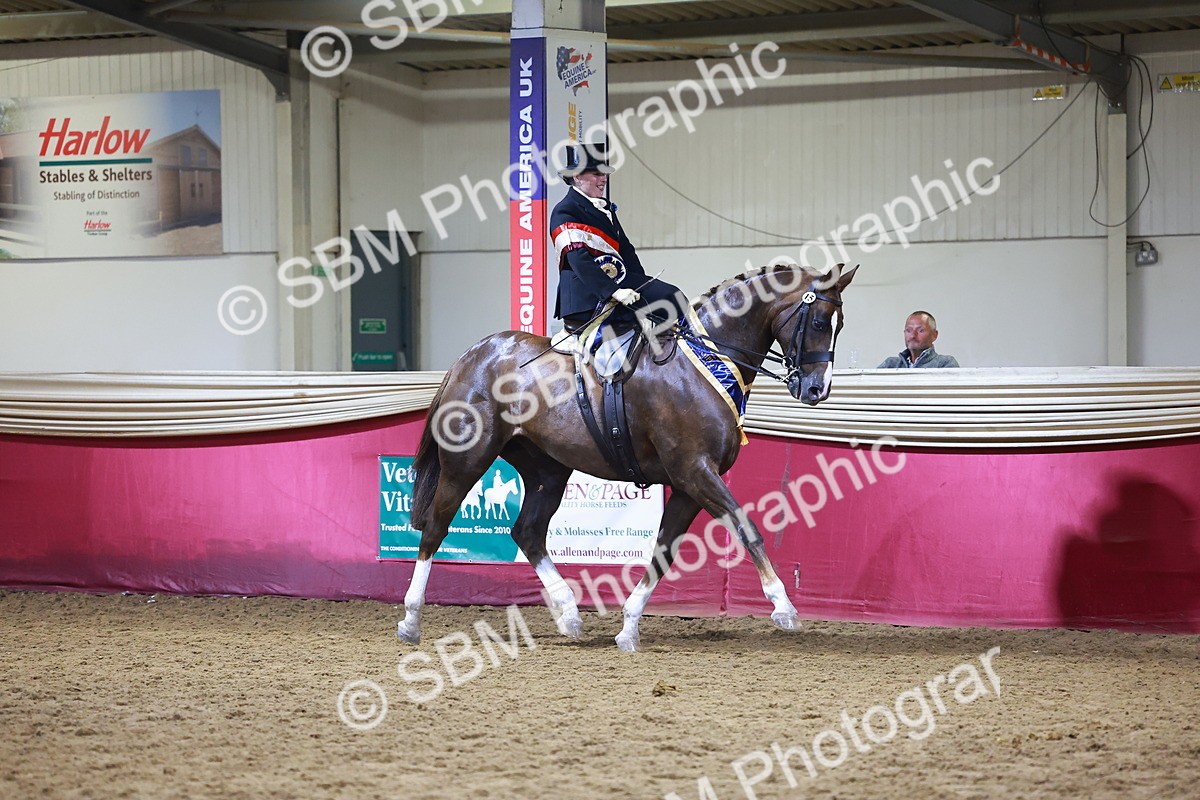 SBM_15046 - Class N - Side Saddle Champ