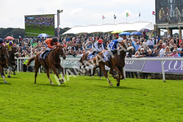 250823-Race 1-Marhaba The Champ-0131 - Race 1 1.50pm Sky Bet Handicap