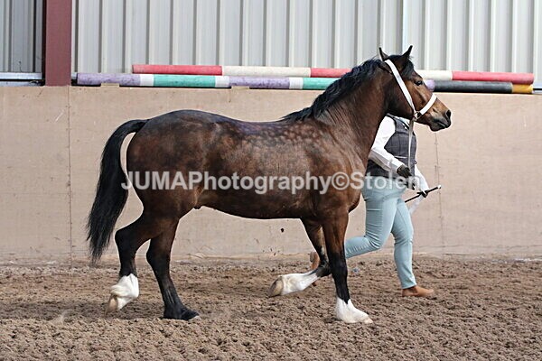 SIAL9482 - Indoor Classes