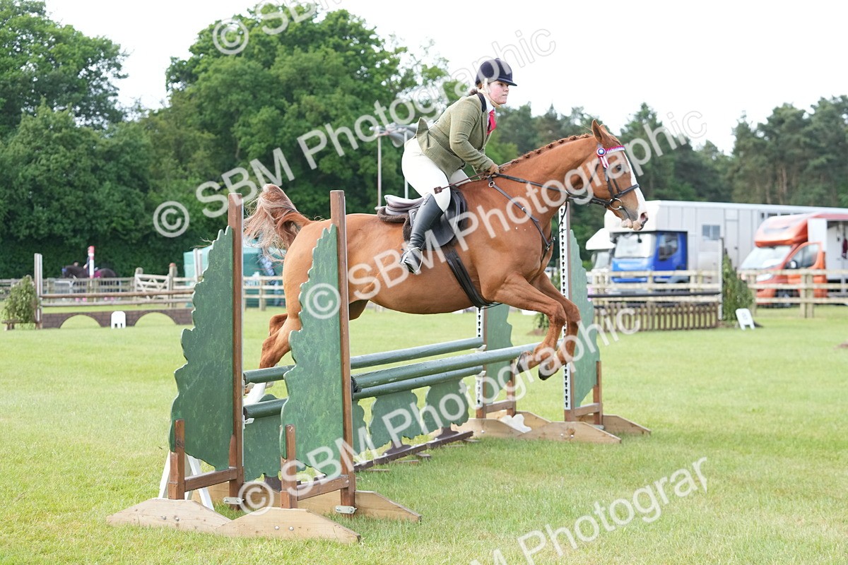 SBM_10474 - Class 97-98 - LIHS BSHA Rising Star Working Show Horse Hunter