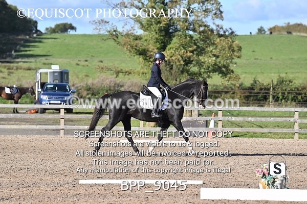 BPP_9045 - SHORT ARENA