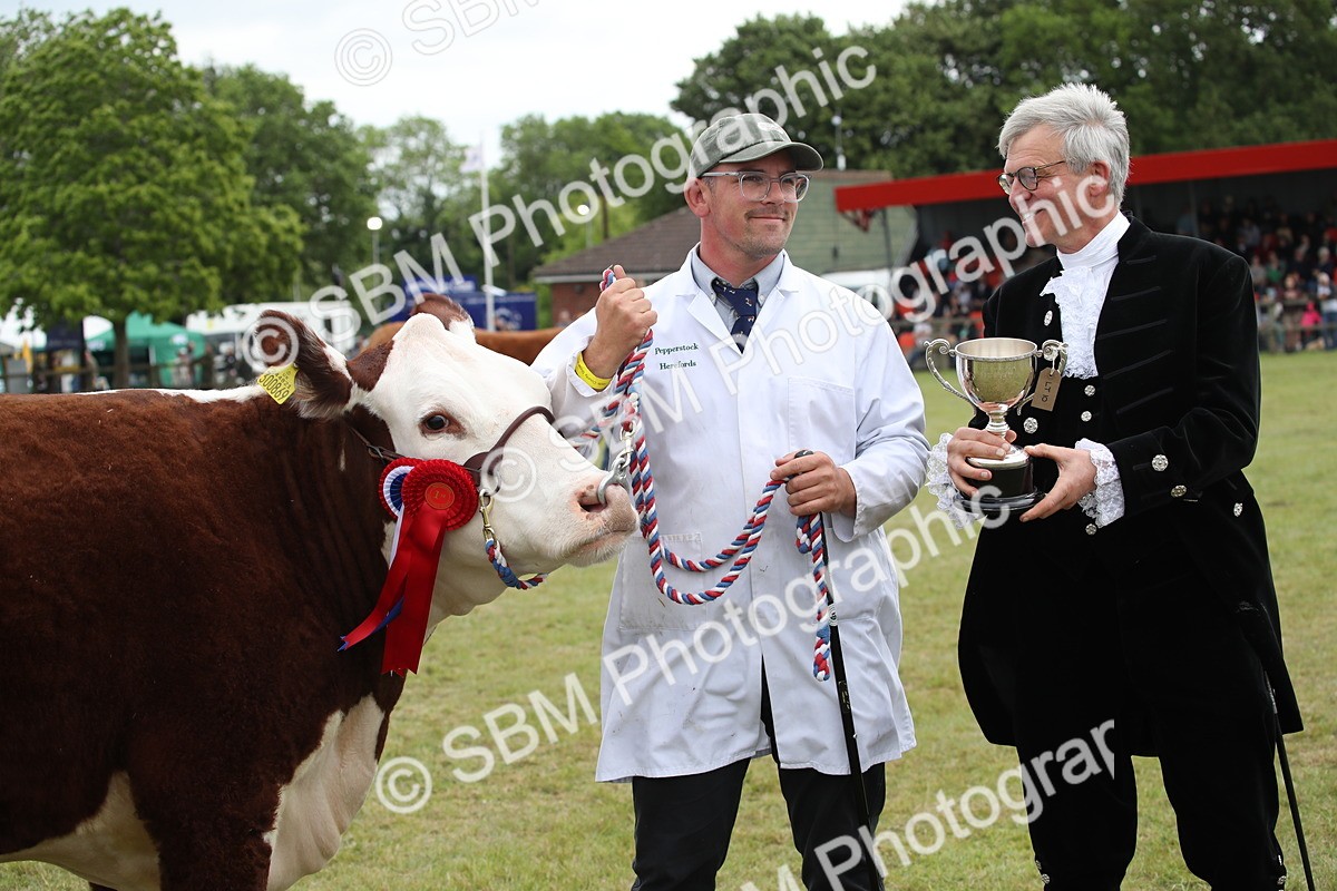 SBM_07909 - Grand Parade