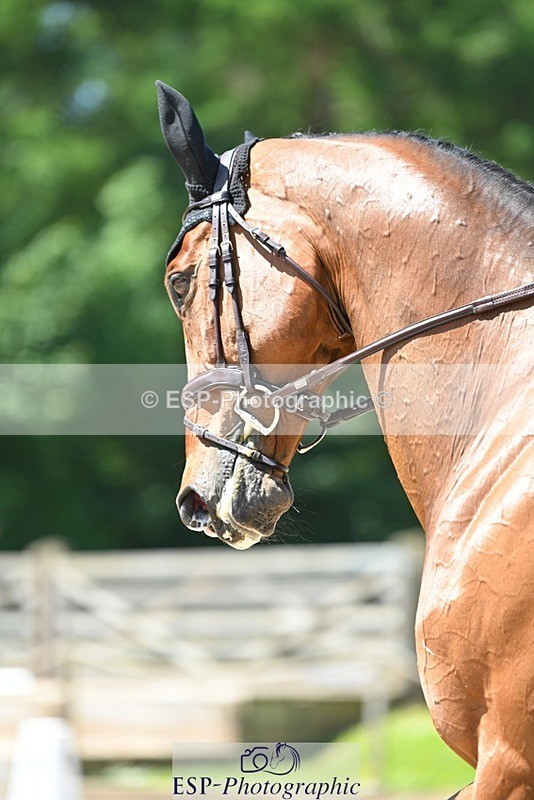 230526-121304-05976 - 474-LONDON_52-Laura_Collett-DR