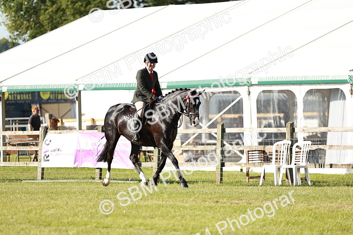 SBM_19339 - Class 115-116 - LIHS BSHA Rising Star Working Hunter & Show Horse