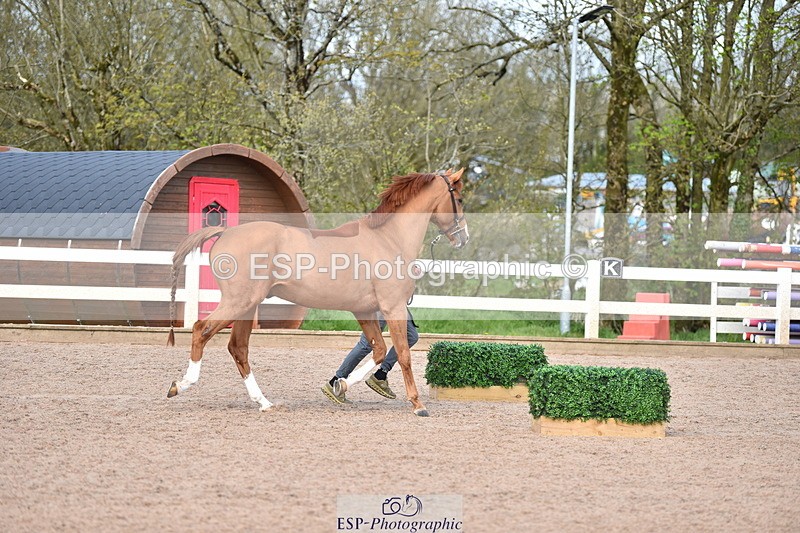 240417A-150730-00738 - 3pm to 4pm