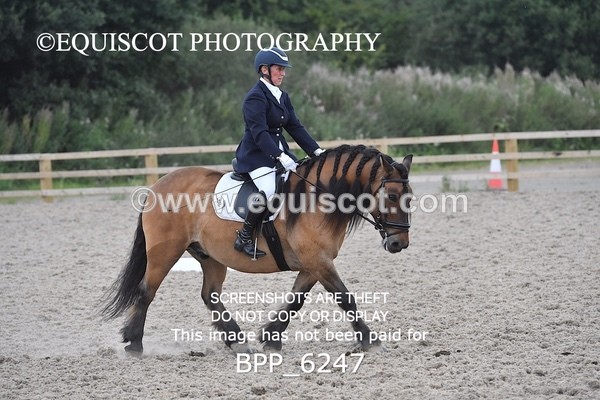 BPP_6247 - ELEMENTARY TEST 4 LONG ARENA