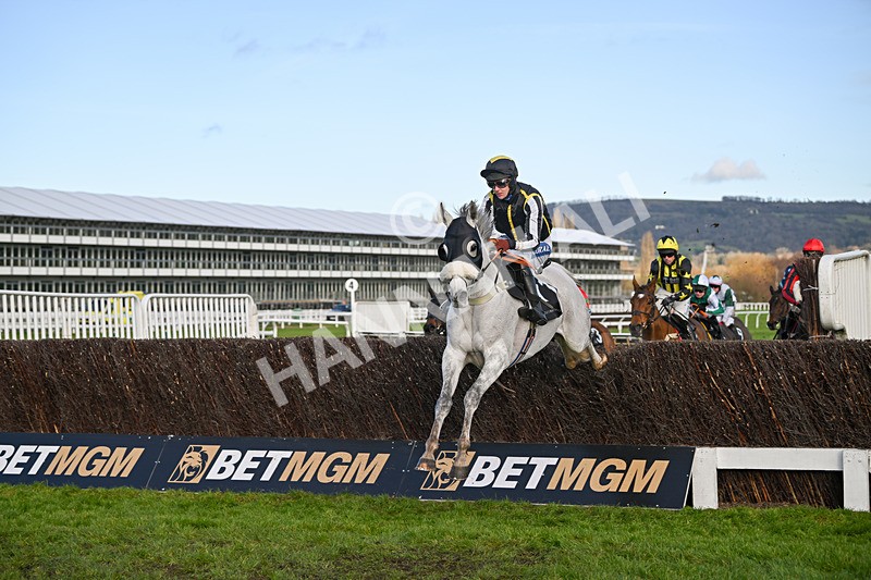 141224-Race 3-So Said I-1642 - Race 3