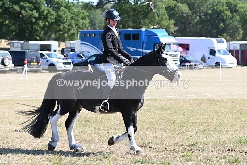 WJ6_8207 - Class 37a Best Loan Pony Ridden