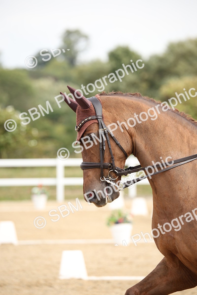 SBM_019698 - Class 22 - Medium 73 - 10.36 11.32