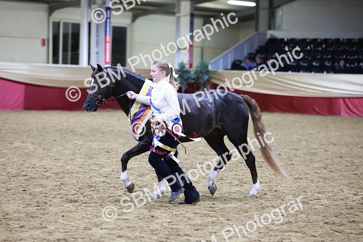 SBM_21098 - Class P - M&M Champs