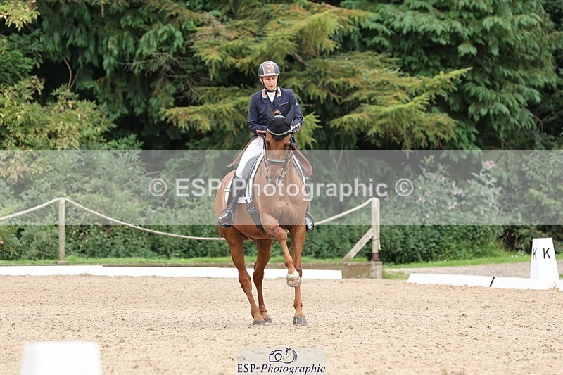 240810-161318-04347 - 219-Alice.Peternell-Insanity