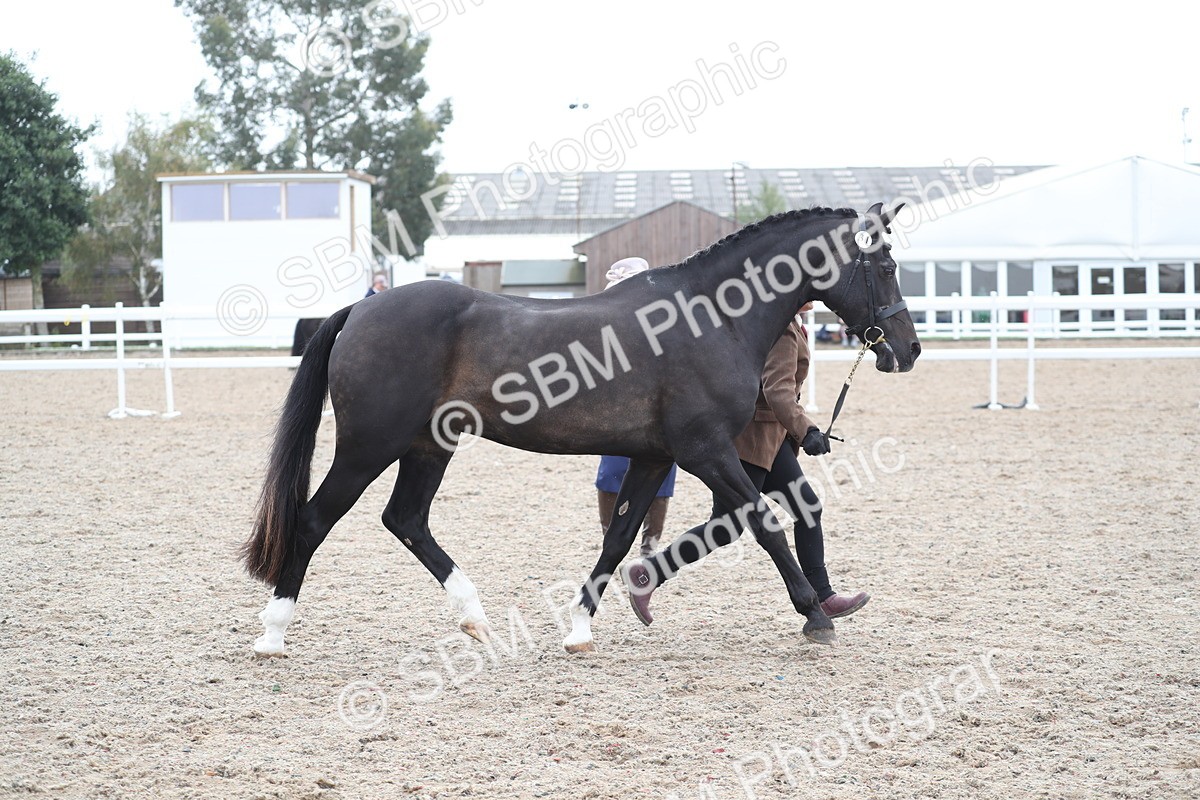 SBM_22540 - Class 604 - 2025 Area - IH Diamond