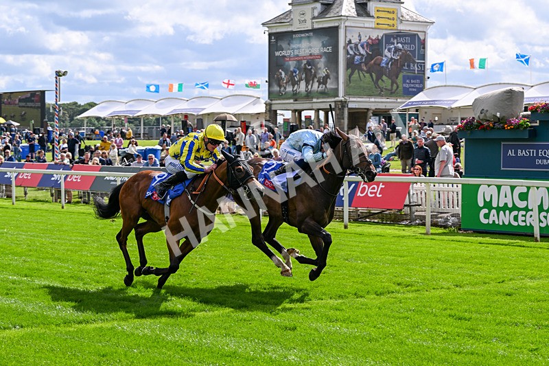 120626-Race 5-Antipodes-7841 - Race 5 16.10pm Sky Bet The World's Gone Football Handicap