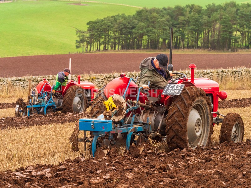 PB260125 - Lauderdale Ploughing Society - Ploughing match 26-11-22