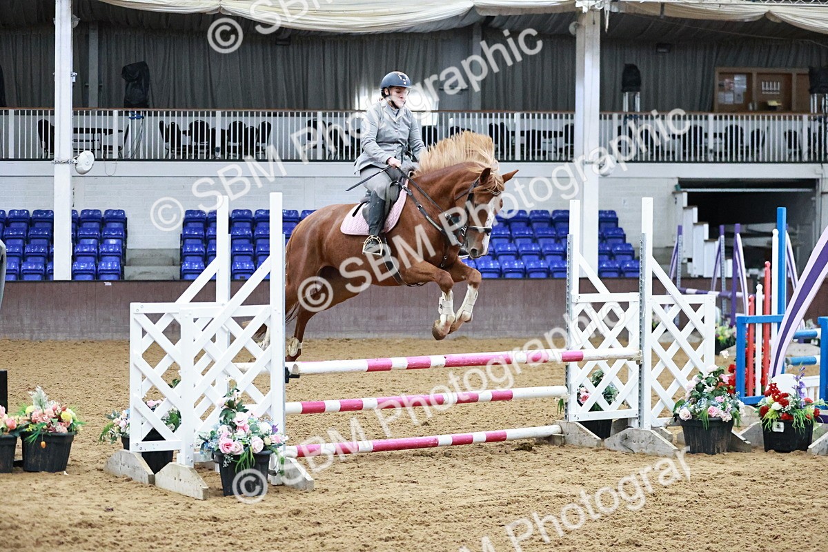 SBM_000352 - Class 2 - Senior British Novice 90cm