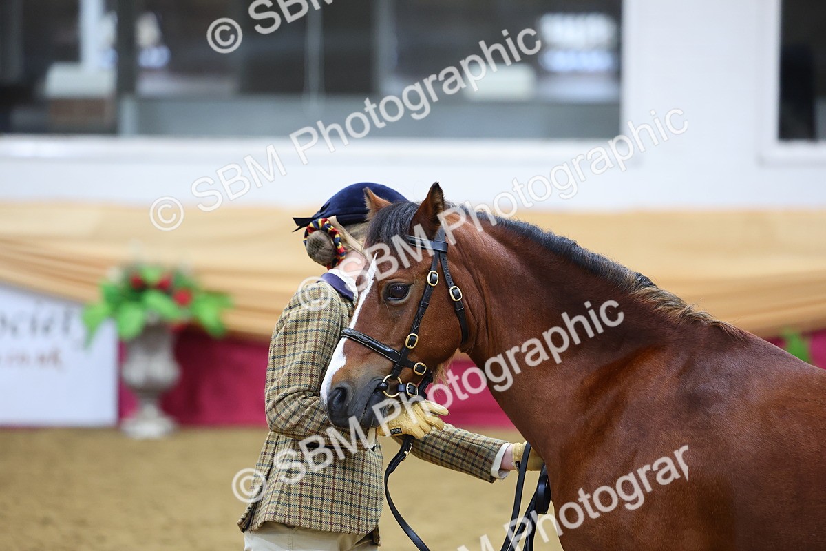 SBM_20898 - Class 902 - Supreme Final IH Veteran