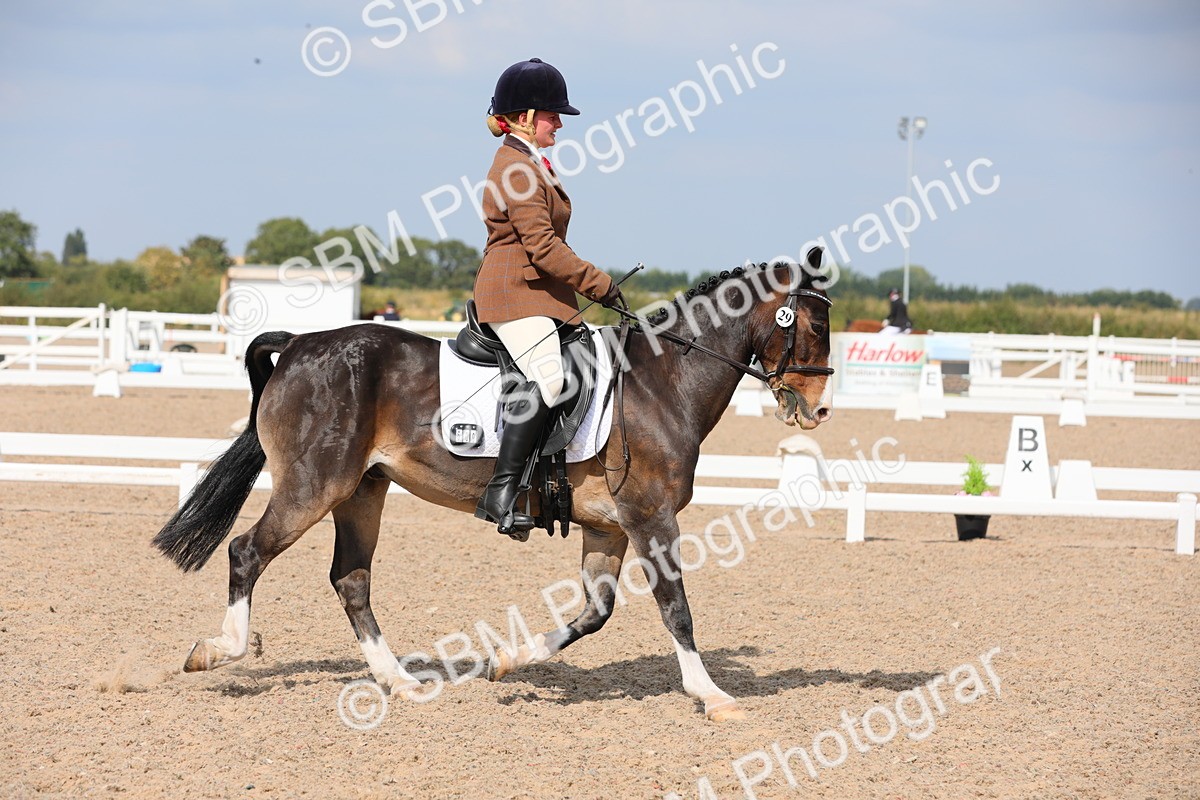 SBM_07499 - Class 33 Elementary 1