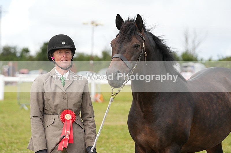 DSC05848 - Class 51: NPS M&M 4 years and over Large Breeds