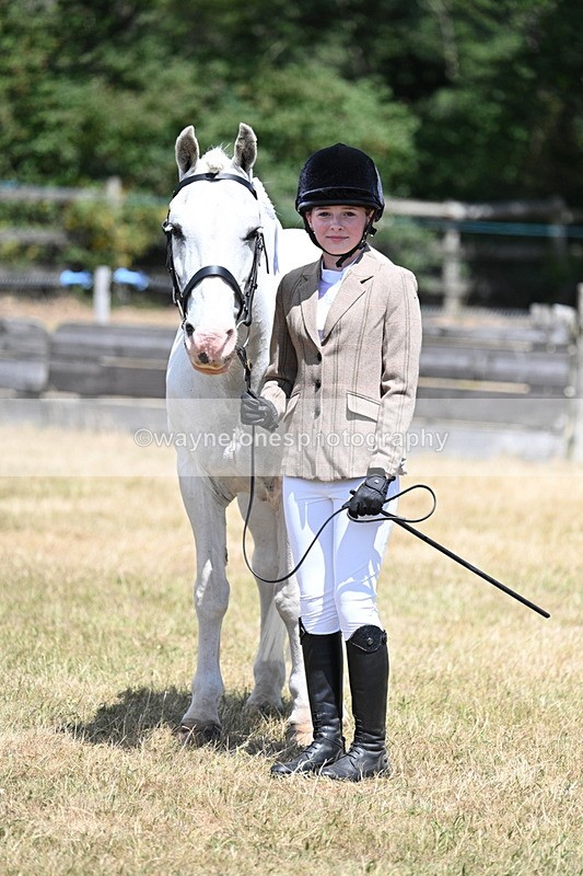 WJ7_2269 - Class 5 Most Handsome Gelding (up to 14.2hh) in hand