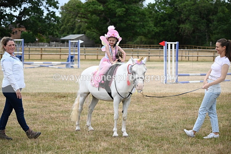 WJ6_5002 - Class 11 Fancy Dress