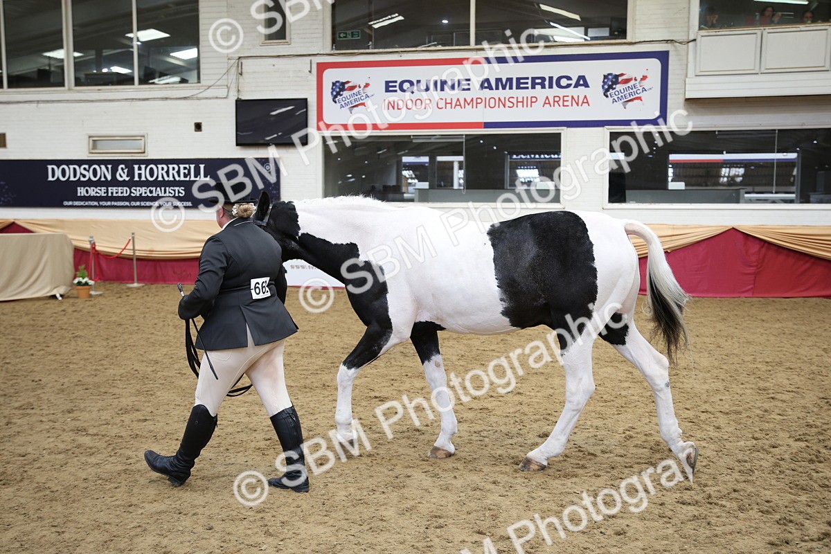 SBM_23409 - Class 904 - Supreme Final Ridden Diamond