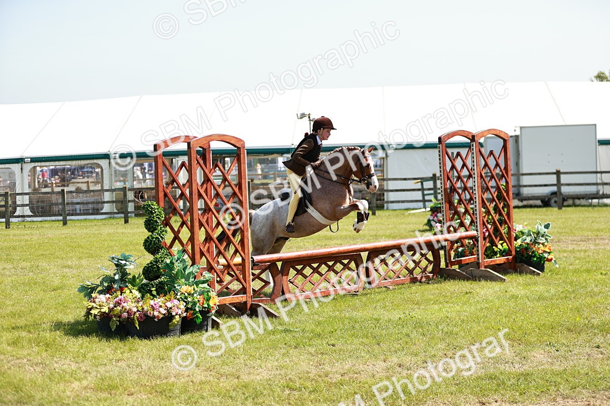 SBM_13508 - Class 108-109 - BSPS LIHS Open Gradle & Nursery Stakes