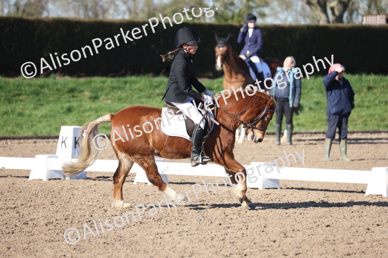 20260214-0283 - Class 3 - Prelim 2