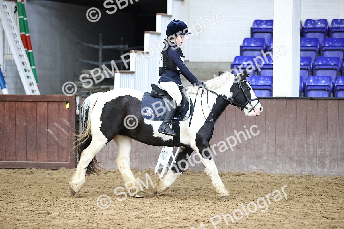 SBM_000249 - Class 2 - The Rug Lady 40cm Area 12 Championship Qualifier