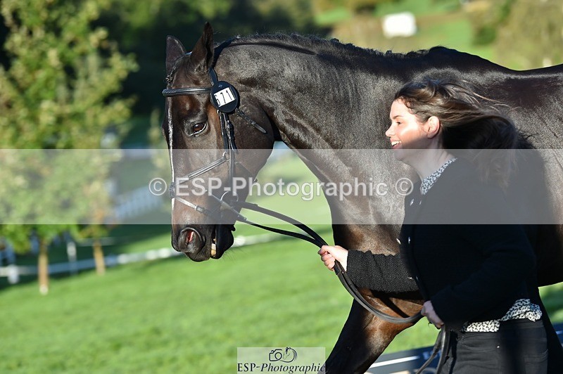 231022-091244-21621 - 671-KILCLOGHER.DAWSON-Lucy.Griffiths-TrotUp+SJ