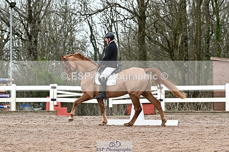 250125-142855-00848 - Dressage - CT Class 7 BE Novice 112