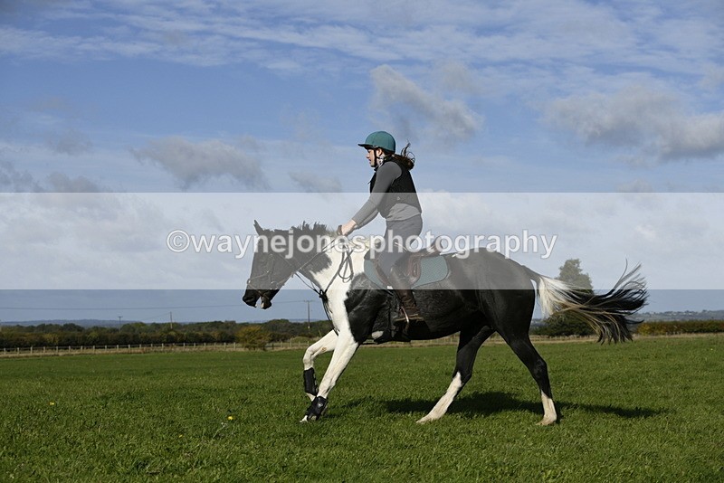 _DSC5398 - Time 10:49 to 11:23