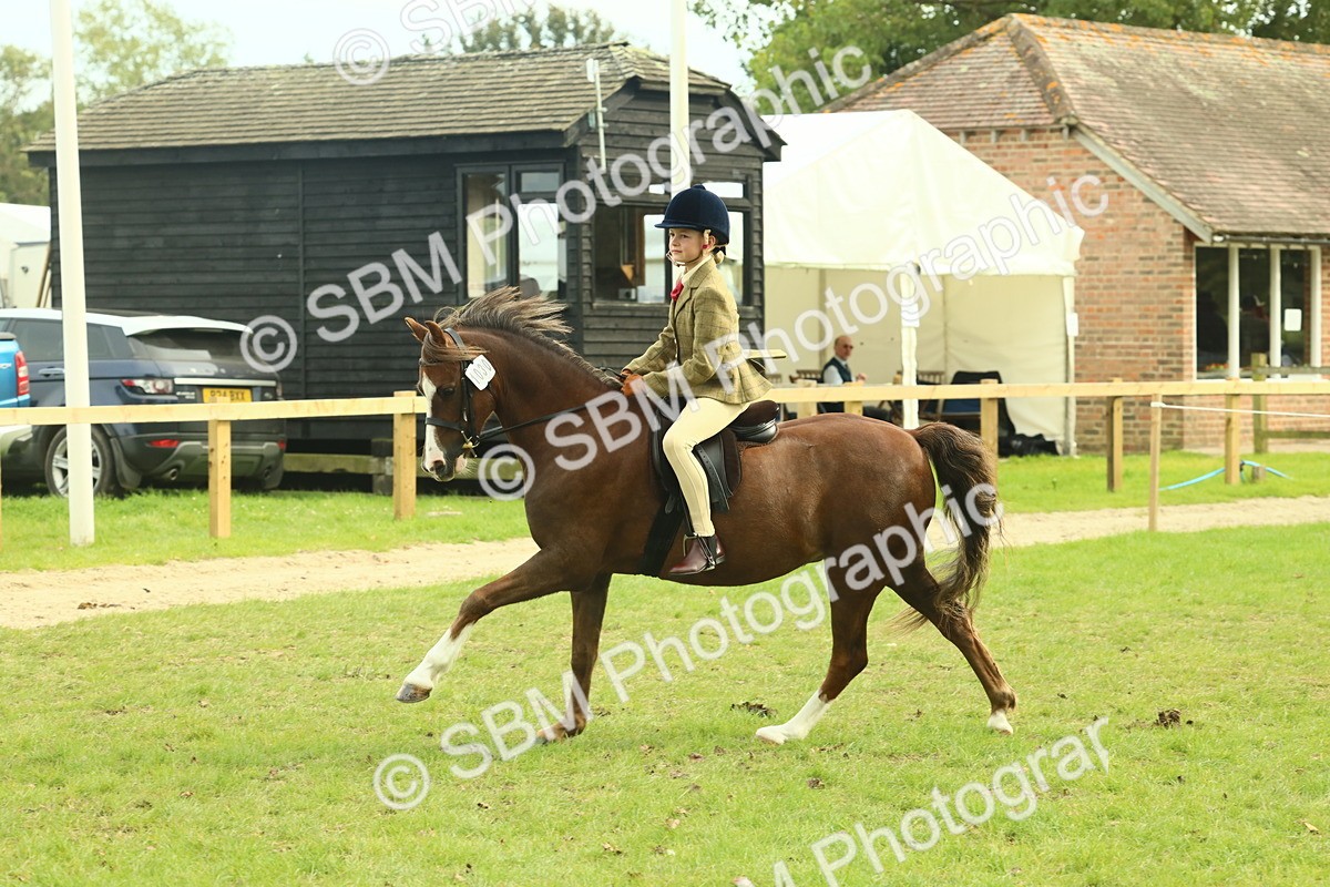 SBM_69884 - S59 - Mountain & Moorland Ridden Small Breeds