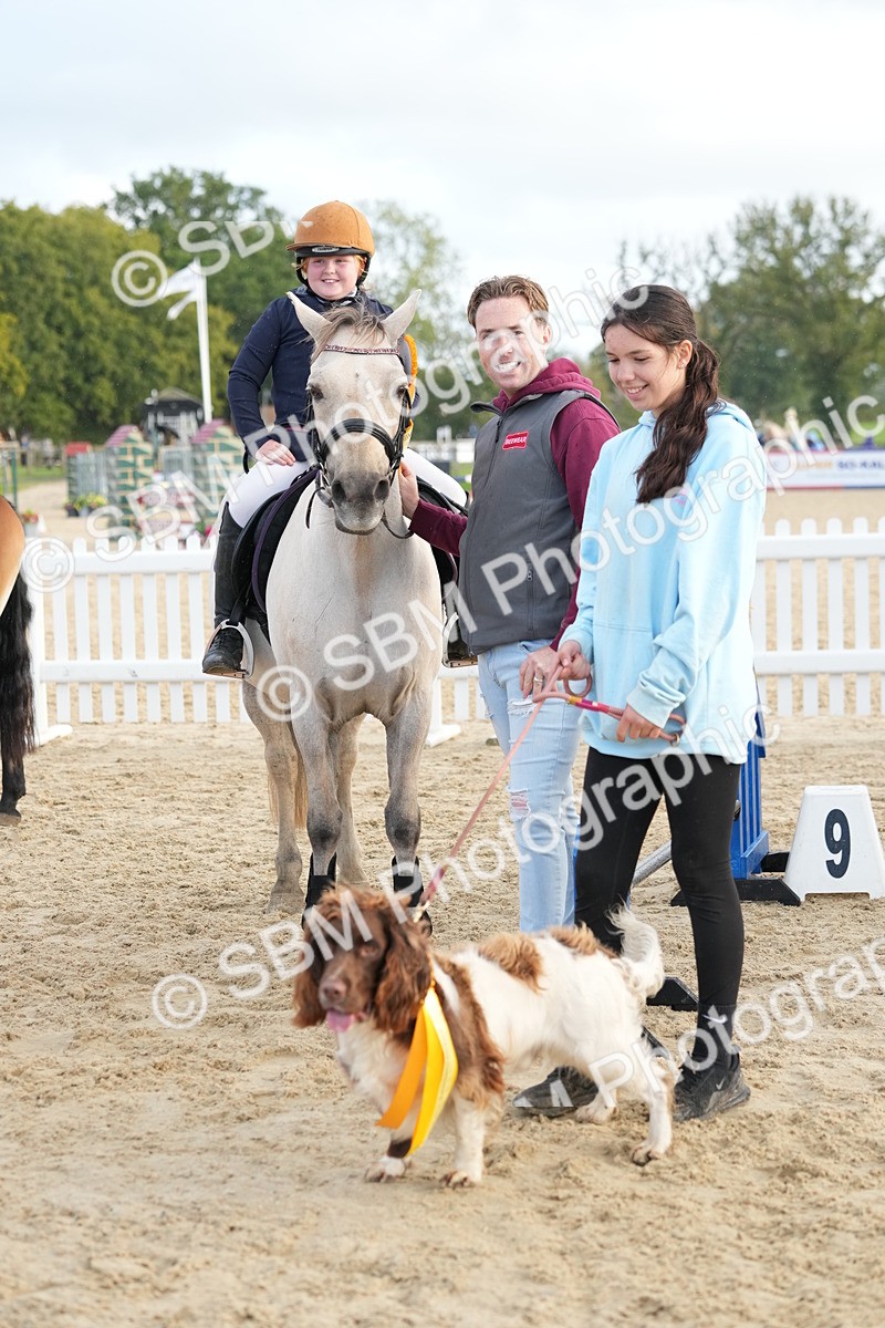 SBM_29239 - J43 - Horse & Hound Open 50cm