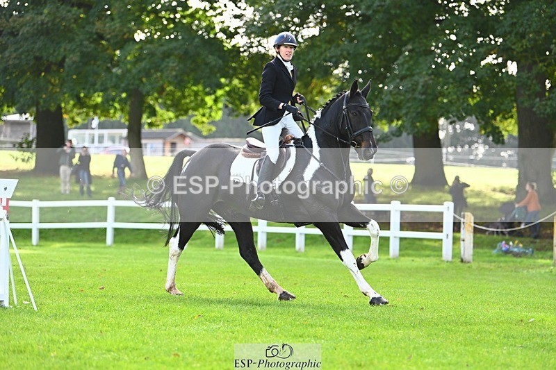 231020-111126-06374 - 101-RICARDO.COLOURS.II-Elizabeth.Wadey-SJ