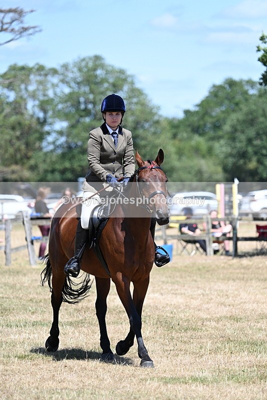 WJ7_3036 - Class 7 Riding Club Show Horse