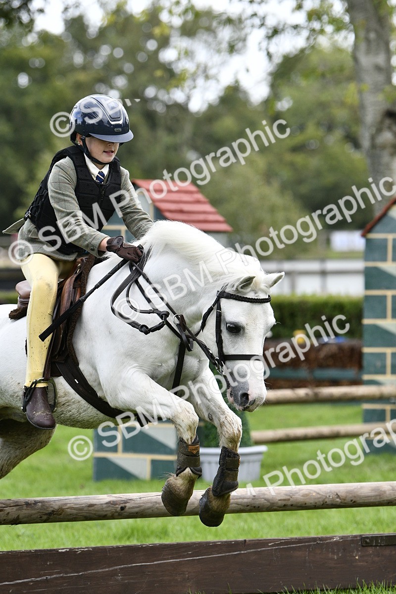 SBM_41287 - S32 - Mountain & Moorland Working Hunter Pony