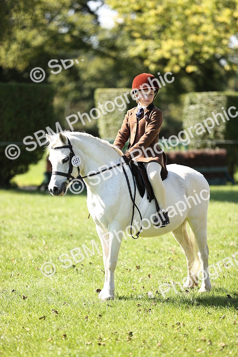 SBM_19358 - S3 - TSR Ridden Pony Showing