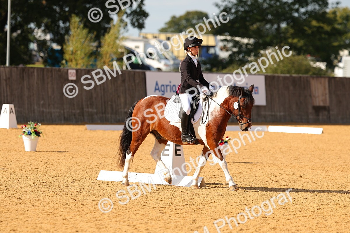 SBM_48418 - D6 - Small Tour Championship - Intro C