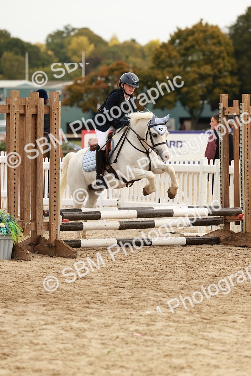 SBM_57769 - J11 - Junior Pony 50cm Championship