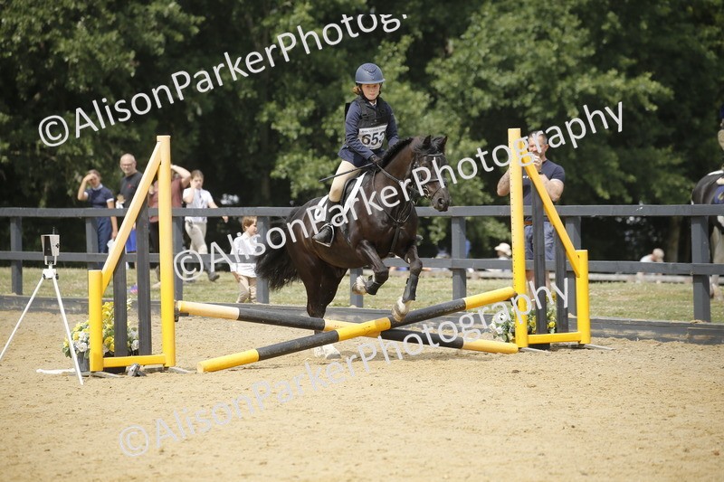 20250622-4664 - 50cm