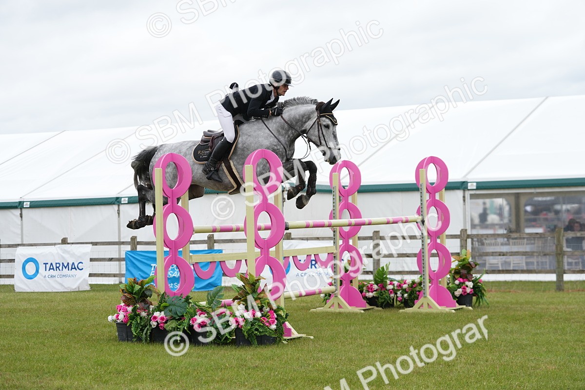 SBM_03132 - Class 201 - British Horse Feeds Speedi Beet Horse of the Year Show Grade  C