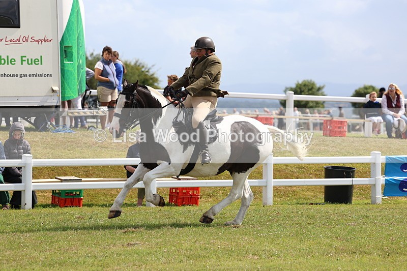 3E7A9781 - Class 5: Rising Star Lightweight/Heavyweight Cobs