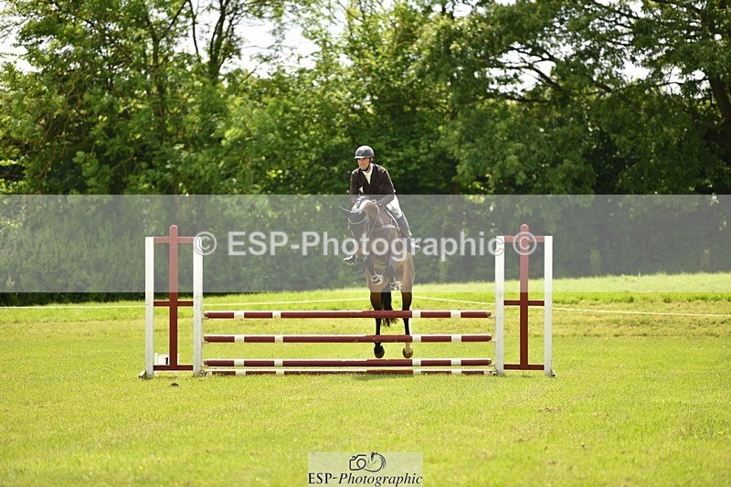 240523B-133058-02424 - 5 Year Old