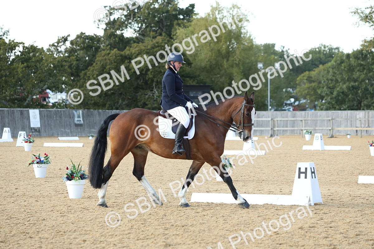 SBM_28666 - D20 - Grand Tour Championship - Elementary 44
