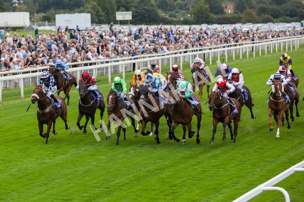 230823-Race 1-Equilateral-4043 - Race 1 1.50pm Sky Bet And Symphony Group Handicap