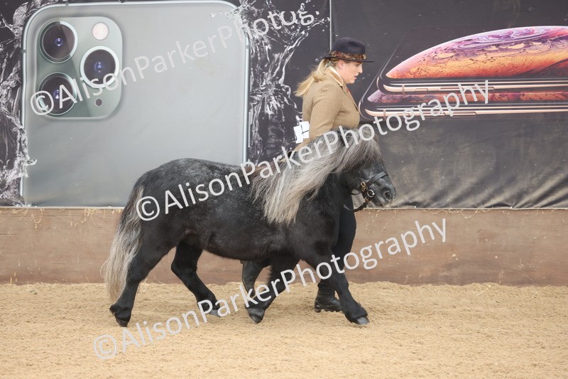 20251109-0066 - Class 3 - 2 and 3 Year Old