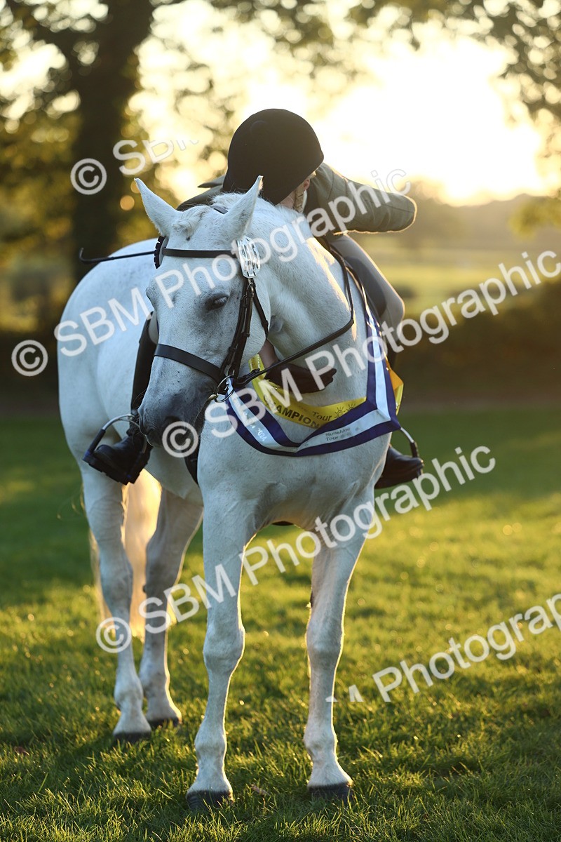 SBM_56673 - Fun & Versatile Supreme Championship
