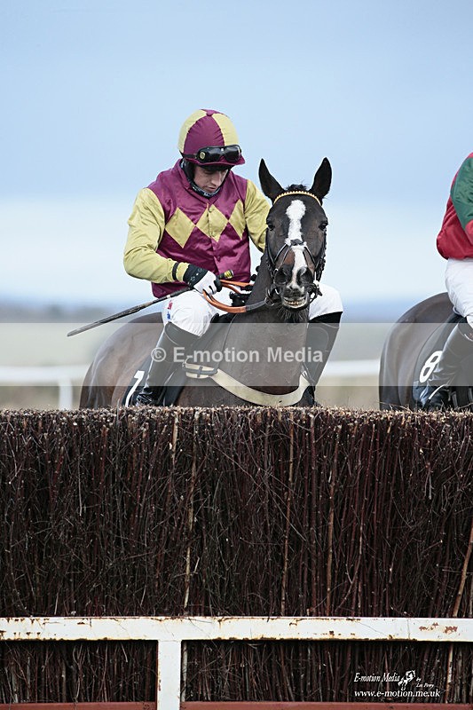 PtP 020122 52 - Larkhill Racing Club Point-to-Point 02/01/2022
